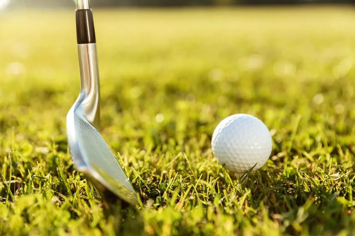 ESTIVAL: Corporate golf, club and ball on green grass.