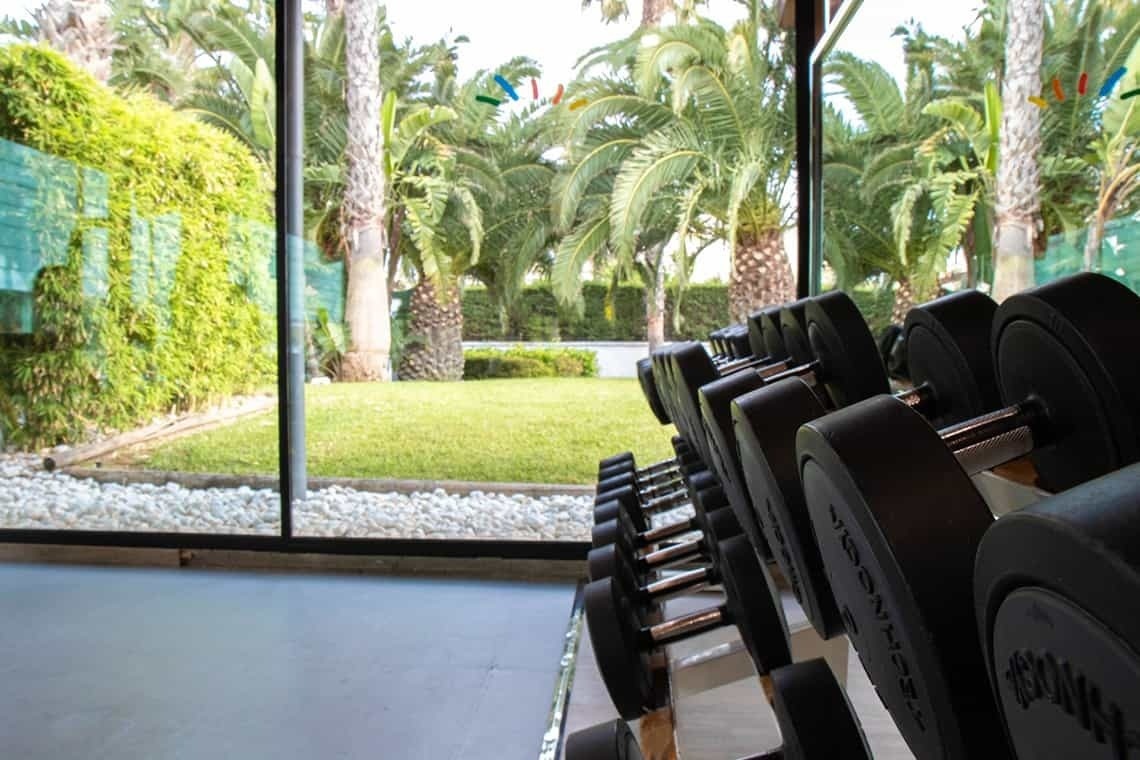 una fila de mancuernas con la palabra triumph en la parte superior