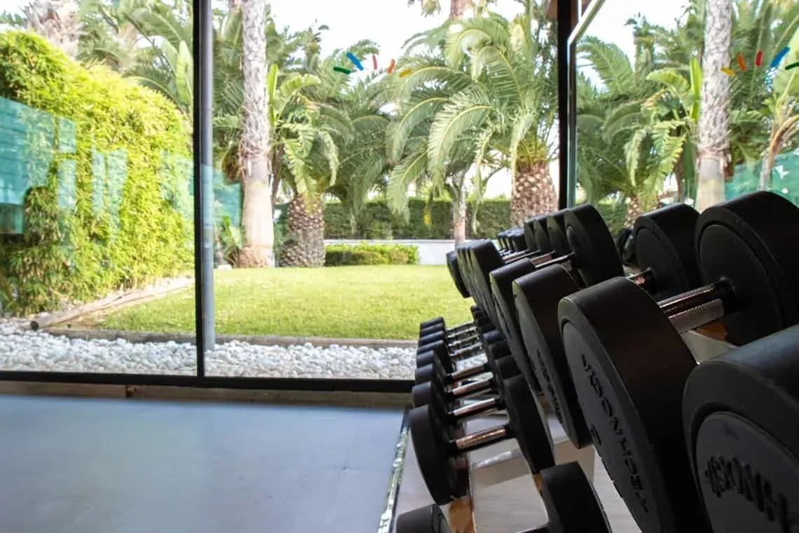 ESTIVAL: Corporativa - Sala de peses amb vista al jardí tropical i palmeres.