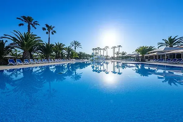 Piscina ESTIVAL: Corporativa, con tumbonas y palmeras bajo el sol brillante.