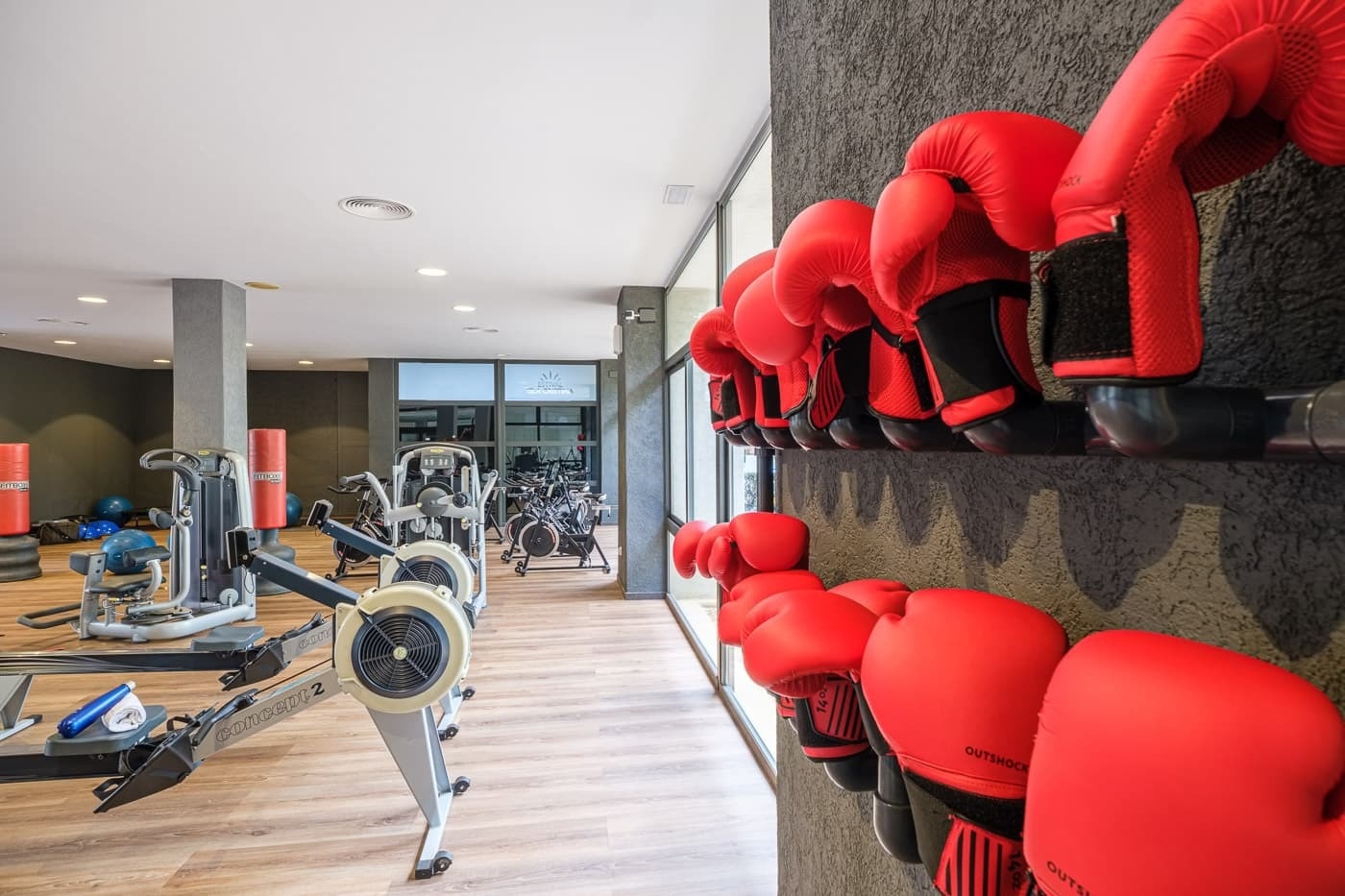 red boxing gloves hang on a wall in a gym