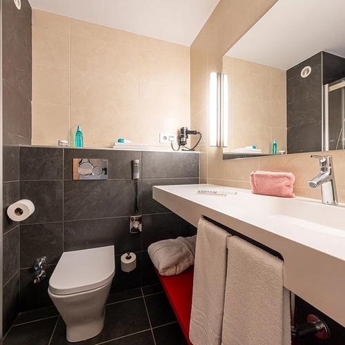 a bathroom with a toilet a sink and a mirror