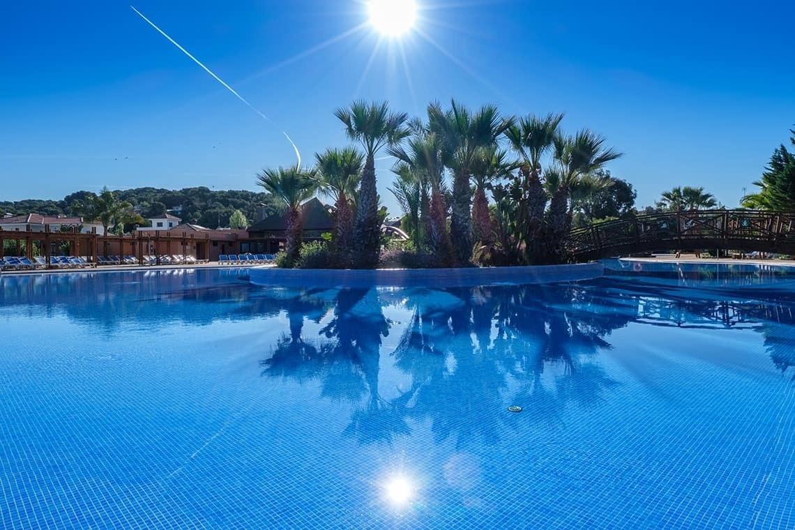 l' aigua de la piscina es reflecteix en les palmeres