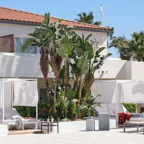 ESTIVAL: Corporativa - Luxurious poolside cabanas surrounded by palm trees