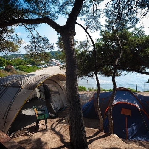 dues tentes a l' ombra d' arbres a la platja