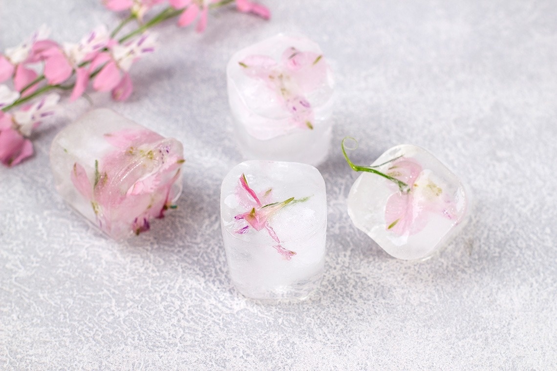 cubos de hielo con flores congeladas en ellos