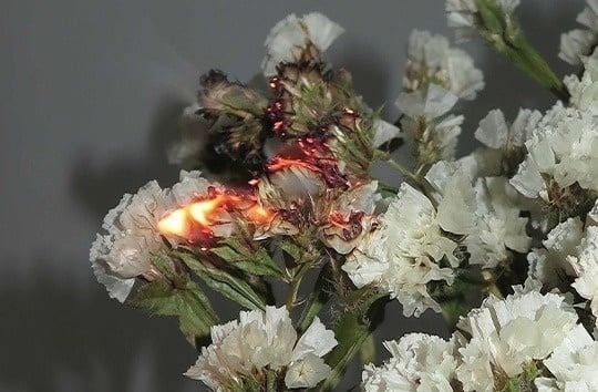 una mesa de madera con comida y una copa de vino