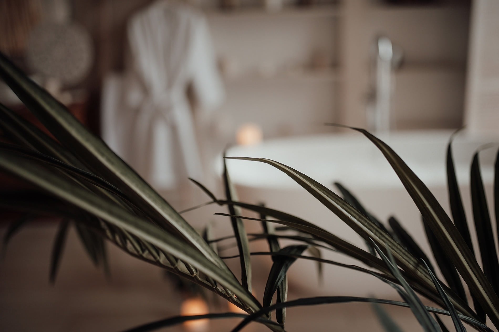 un primer plano de un plato de comida con un vaso de vino en el fondo