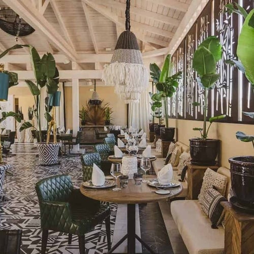 a restaurant with tables and chairs and potted plants
