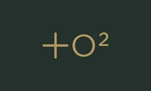 Wir haben mehr als 100 Palmen und mehr als 3.000 Pflanzen und Bäume gepflanzt