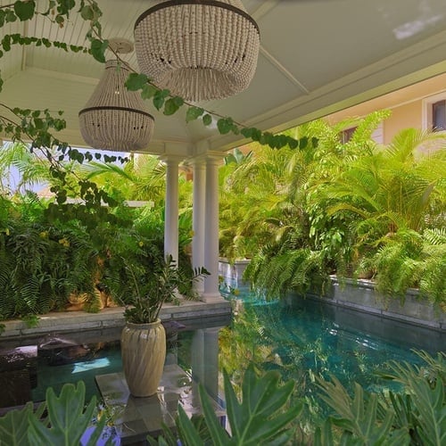 a large swimming pool surrounded by lots of tropical plants