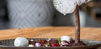 a dessert on a plate that looks like a tree with bubbles coming out of it