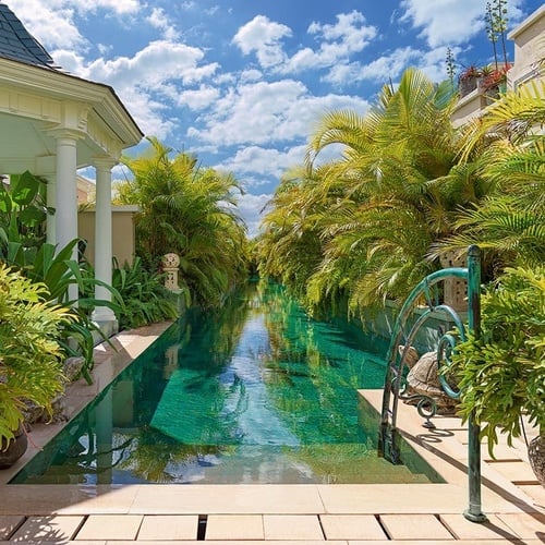 a swimming pool surrounded by palm trees and plants
