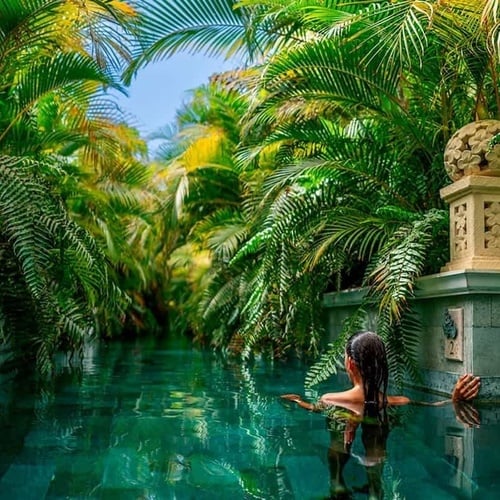 a woman is swimming in a pool surrounded by palm trees