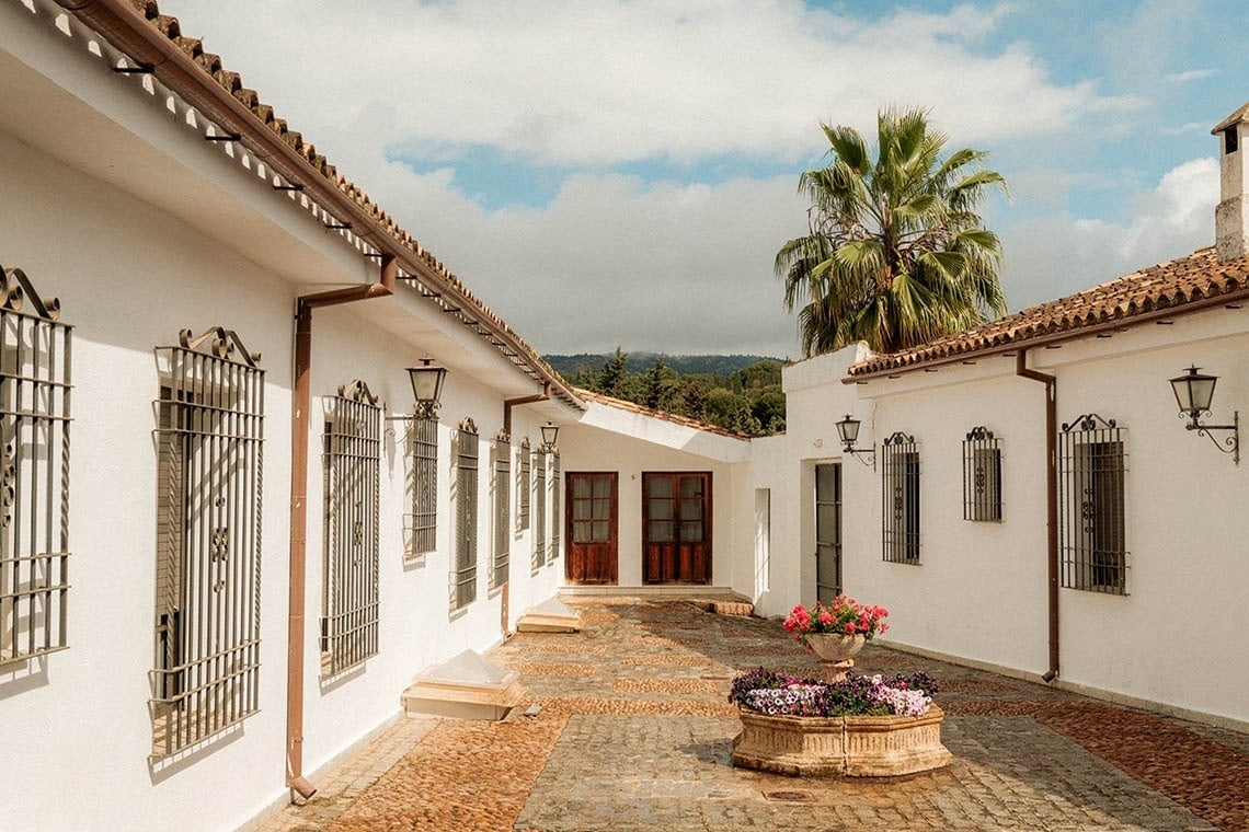 un patio con edificios blancos y un jarrón de flores