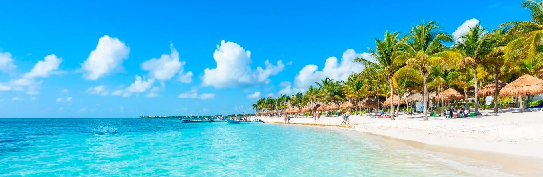 una playa tropical con palmeras y barcos en el océano