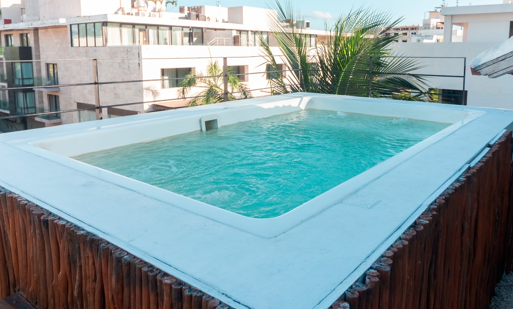 dos mujeres caminan por la playa con cocos en sus manos