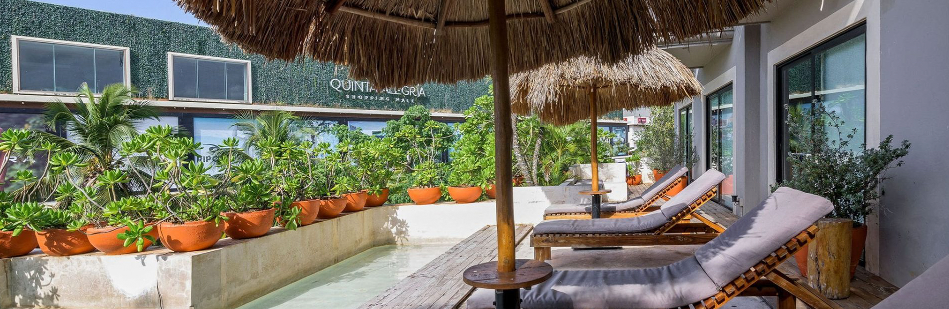 una playa tropical con palmeras y barcos en el océano