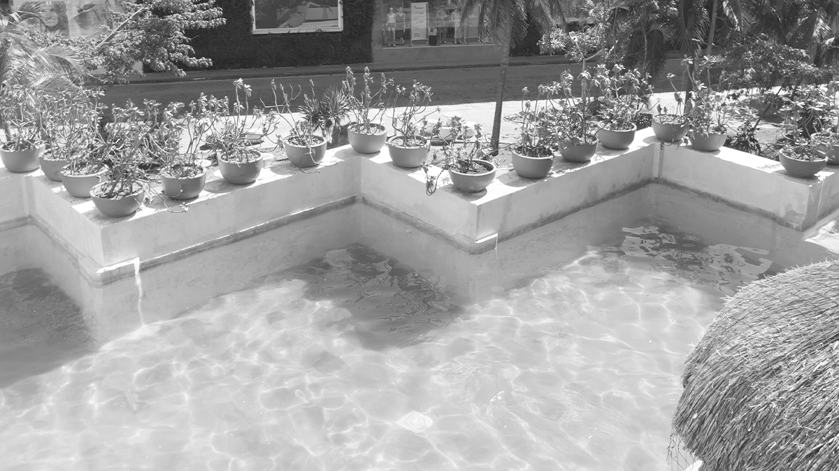 una piscina llena de agua y plantas en macetas=s1900
