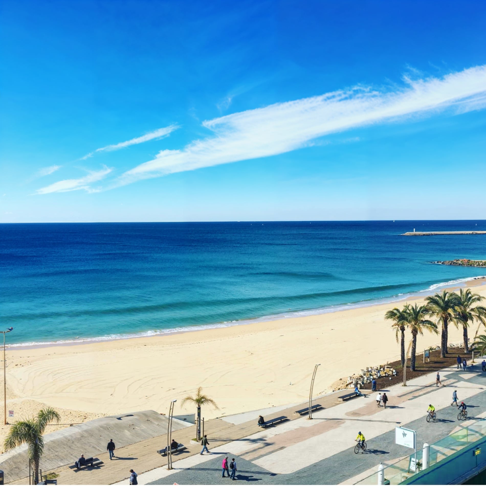 Praia e coqueiros em Dom Jose Beach, ideal para férias.