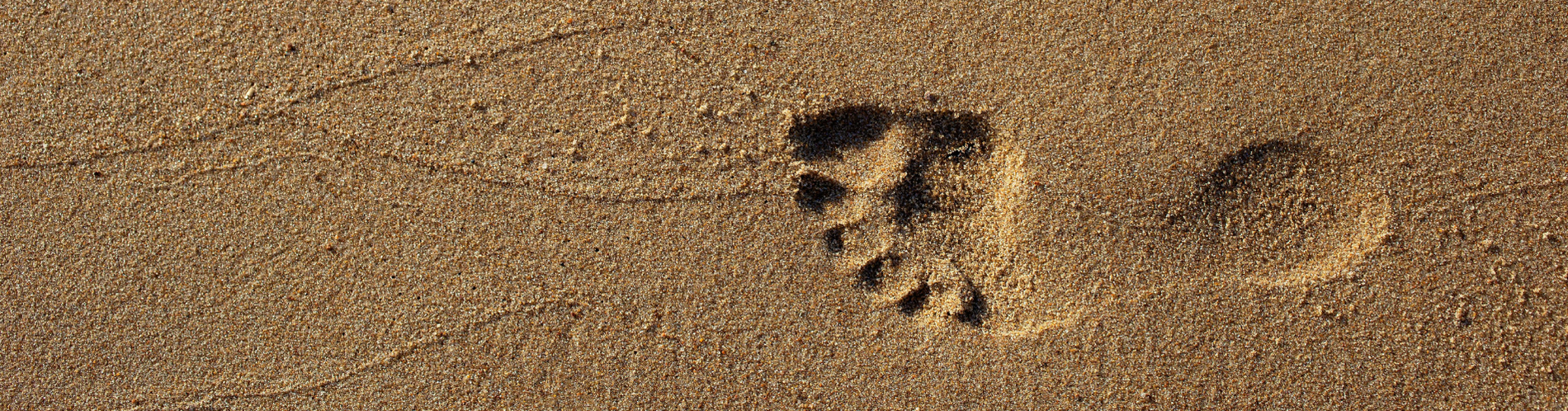 a footprint in the sand that looks like a heart