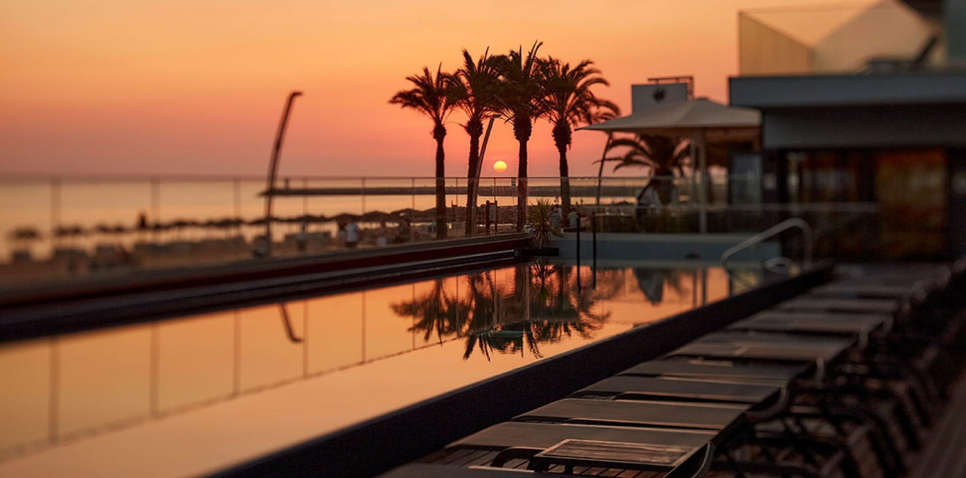 uma piscina com palmeiras ao fundo ao pôr do sol