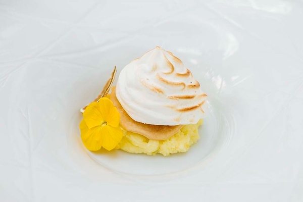 un plato blanco con un postre y una flor amarilla