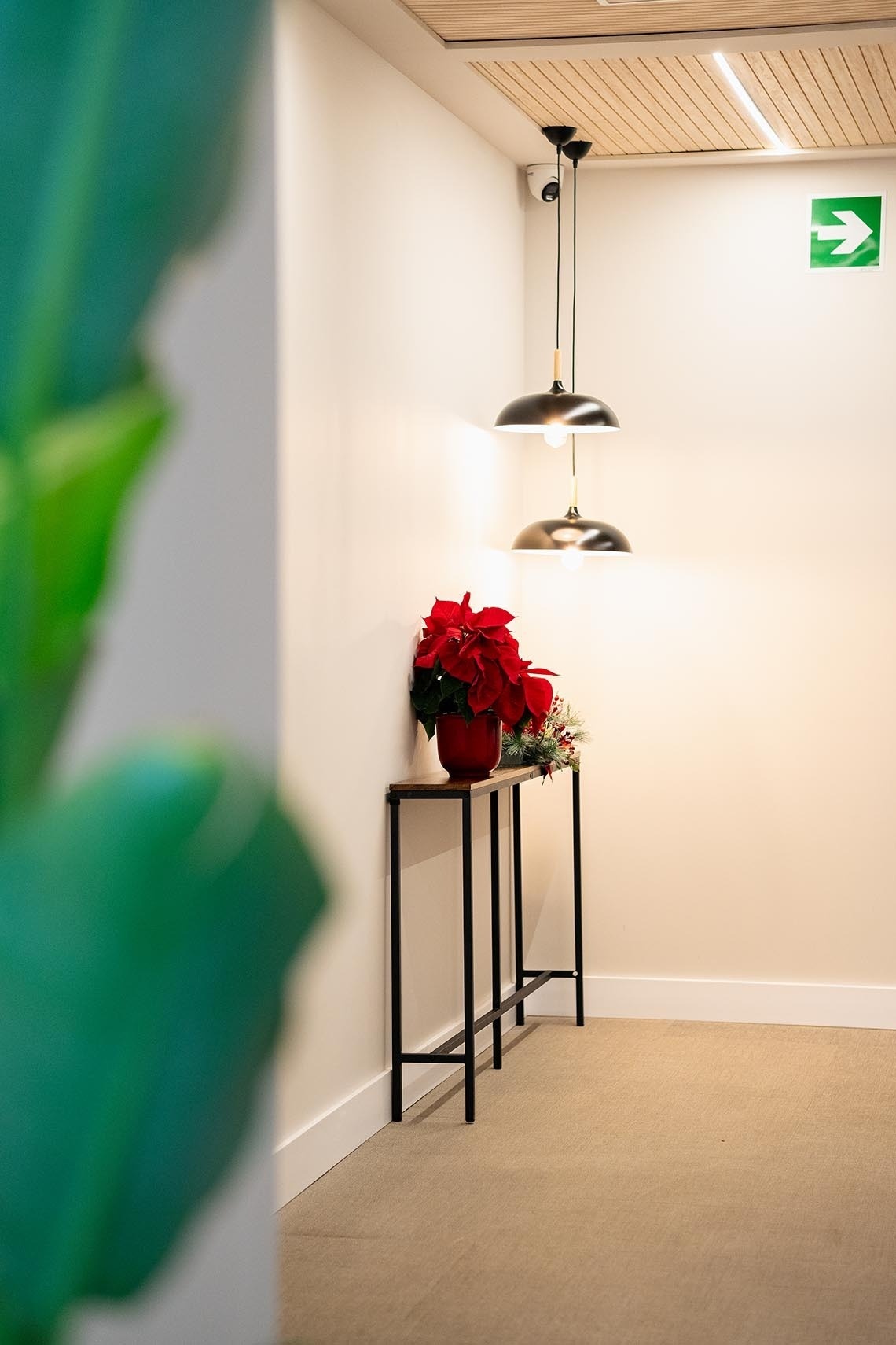 un pasillo con una planta roja encima de una mesa