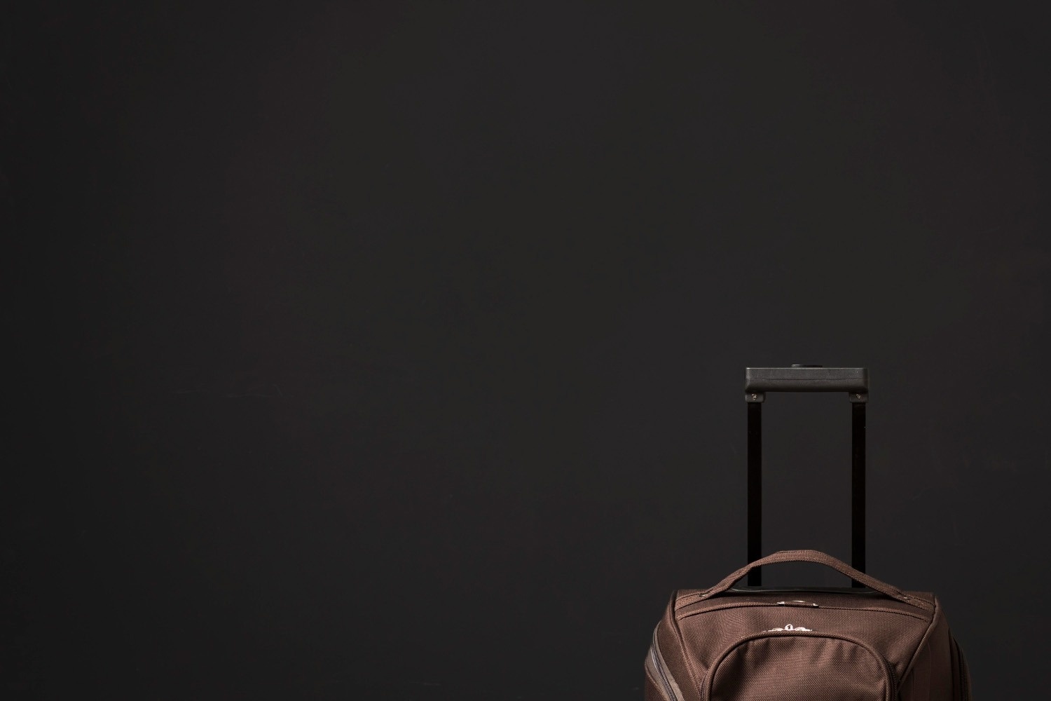 mirando hacia el techo de un edificio con palmeras