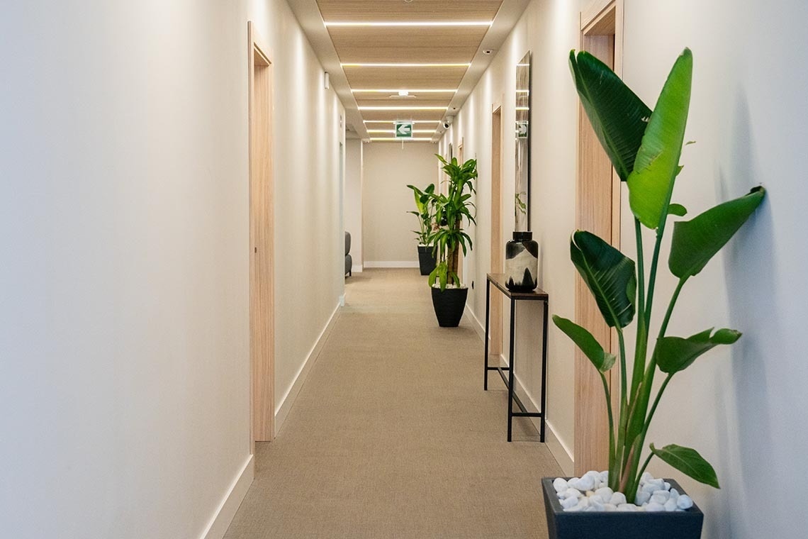 un pasillo con plantas en macetas y una mesa