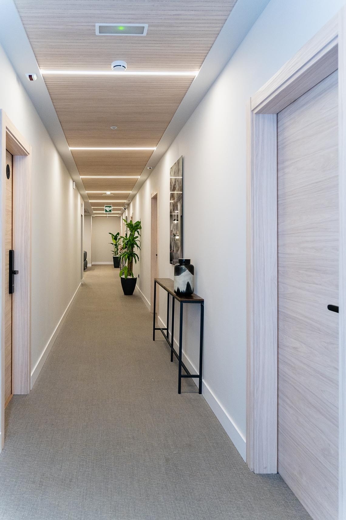 un pasillo con plantas en macetas y una mesa