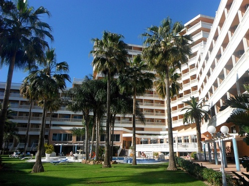 a large building with palm trees in front of it