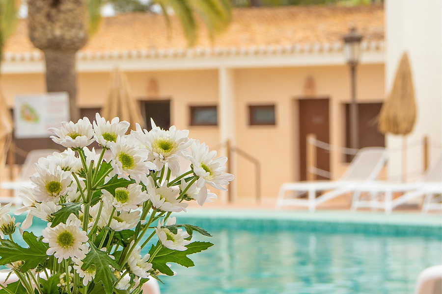 Flores blancas, piscina y bungalows del hotel con vista, ideal para tu estancia Dynastic Resorts.