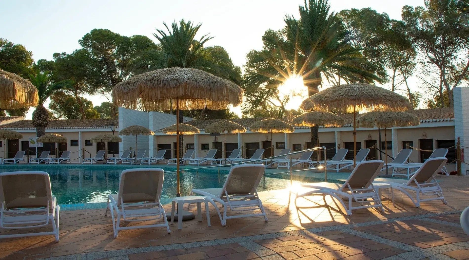 a row of chairs and umbrellas around a swimming pool