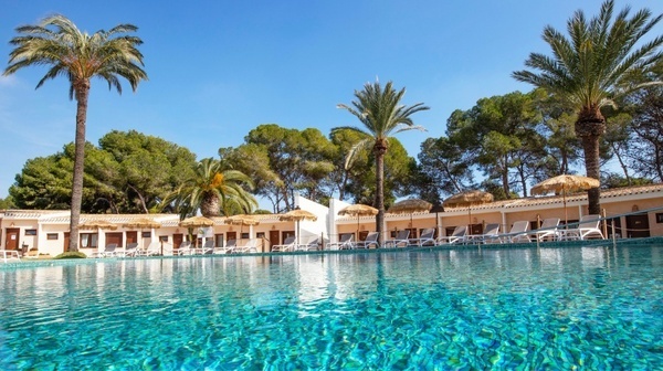 una piscina rodeada de palmeras y sillas de playa