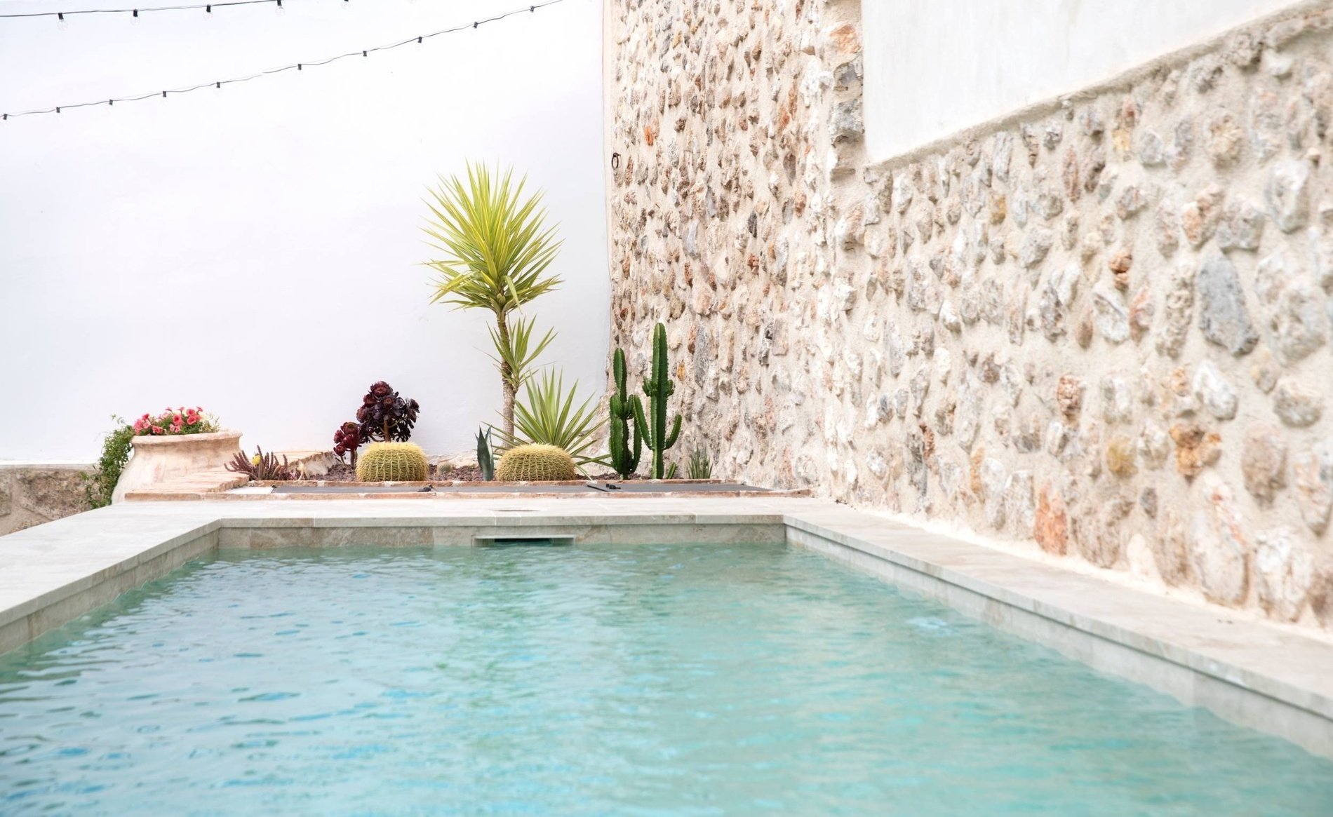 a swimming pool surrounded by plants and a stone wall