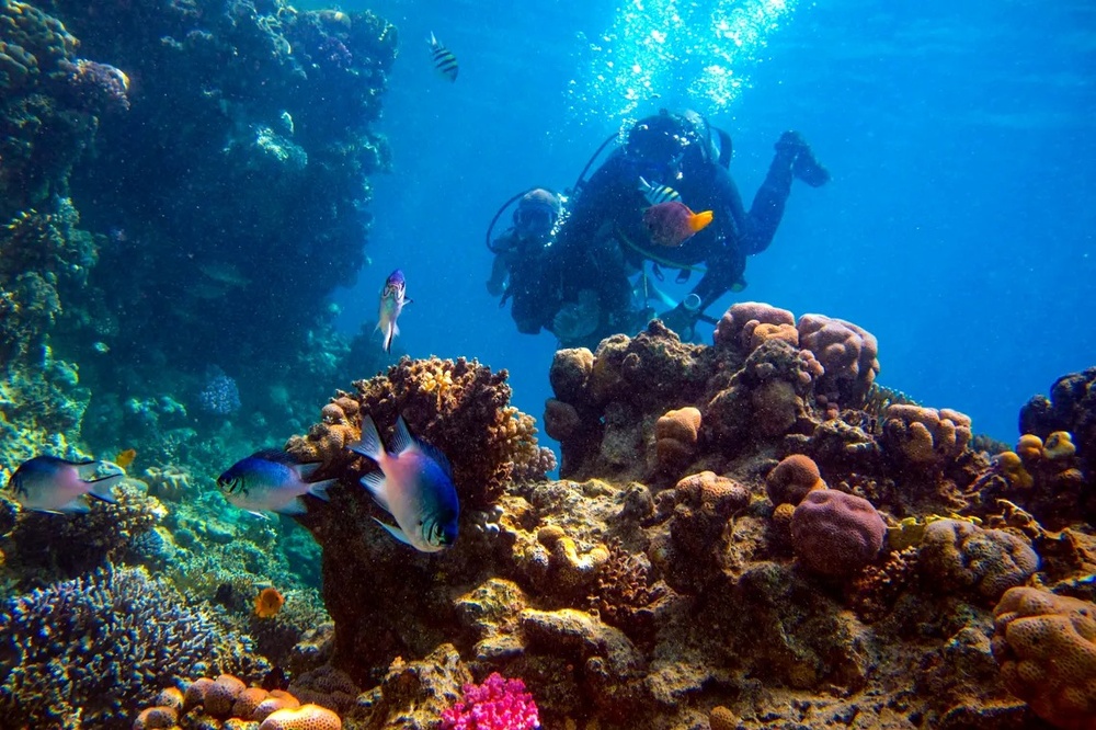 ein Taucher schwimmt über einen Korallenriff mit vielen Fischen