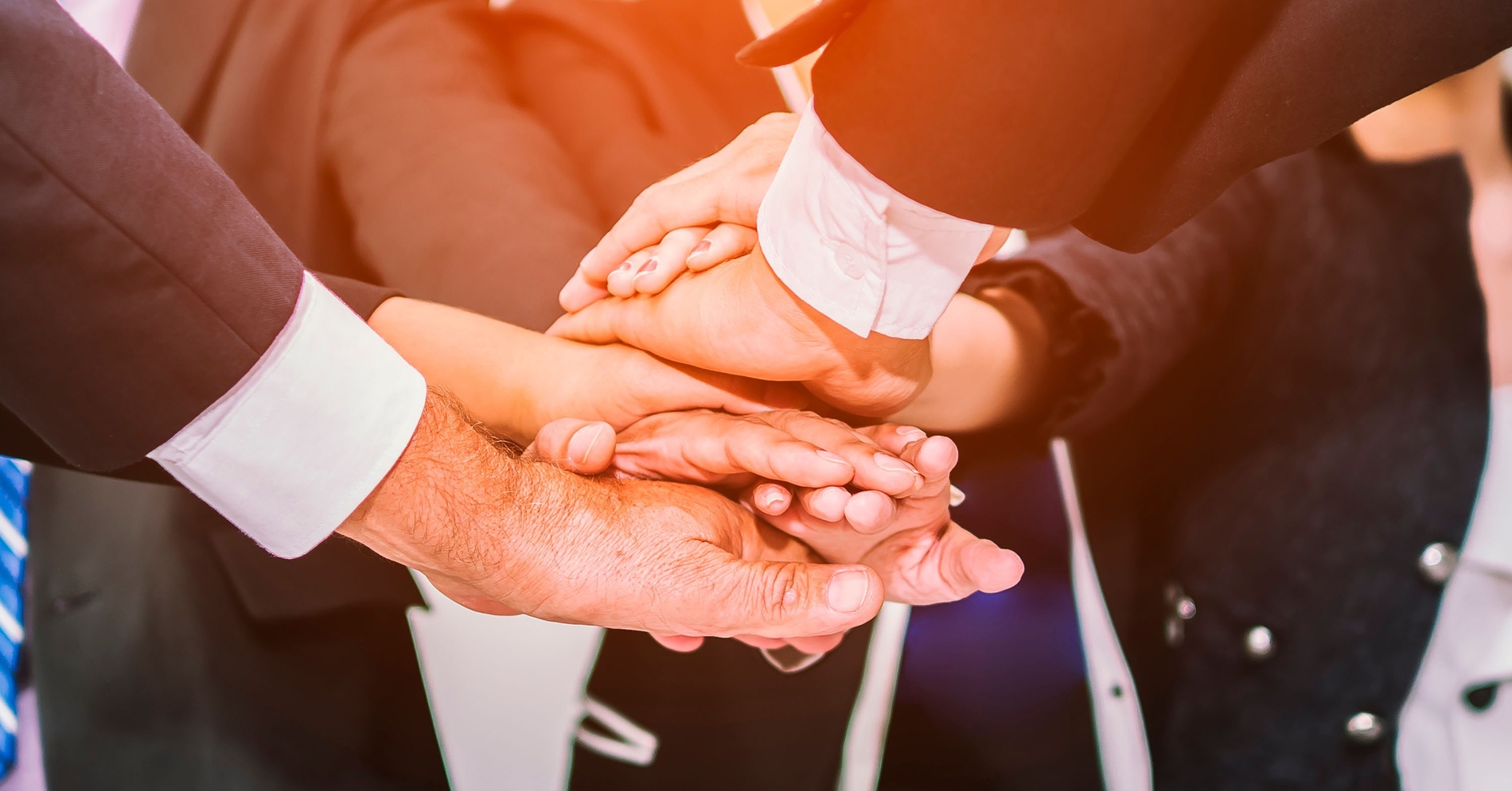 un grupo de trofeos de vidrio están sentados uno al lado del otro