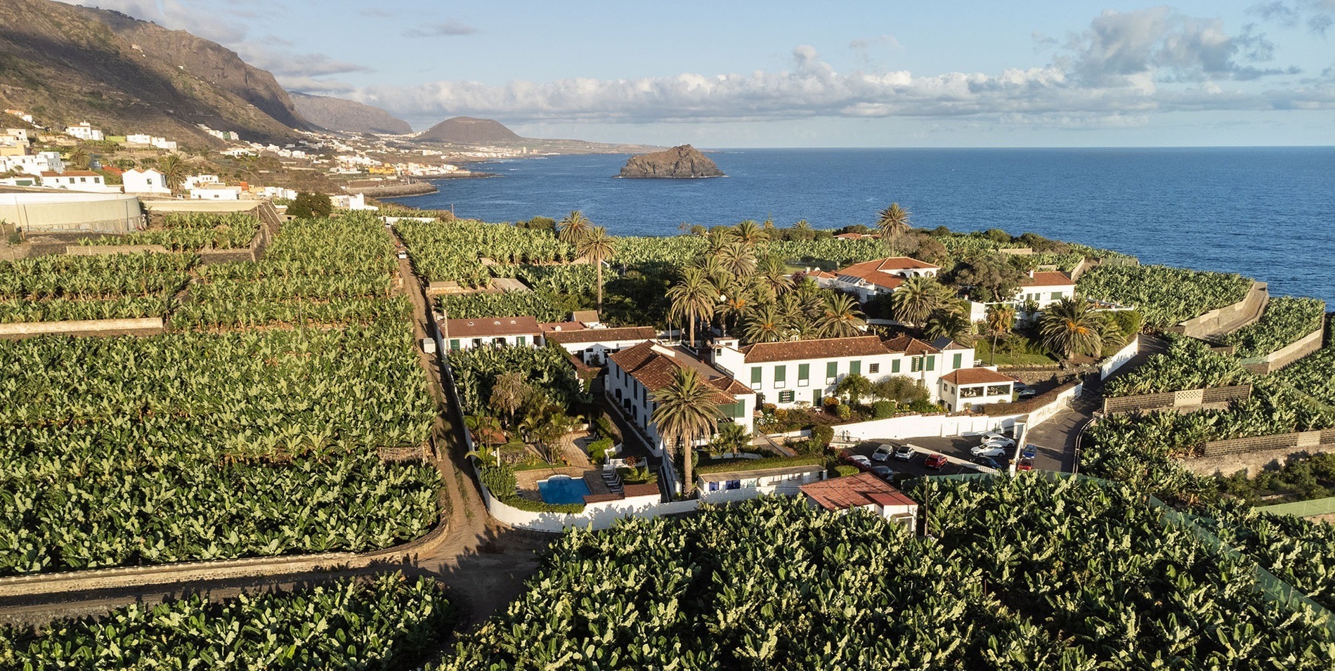 Gallery El Patio Official site Santa Cruz of Tenerife