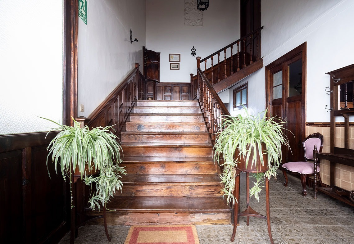 Old wooden staircase to patio, with plants and pink chair.