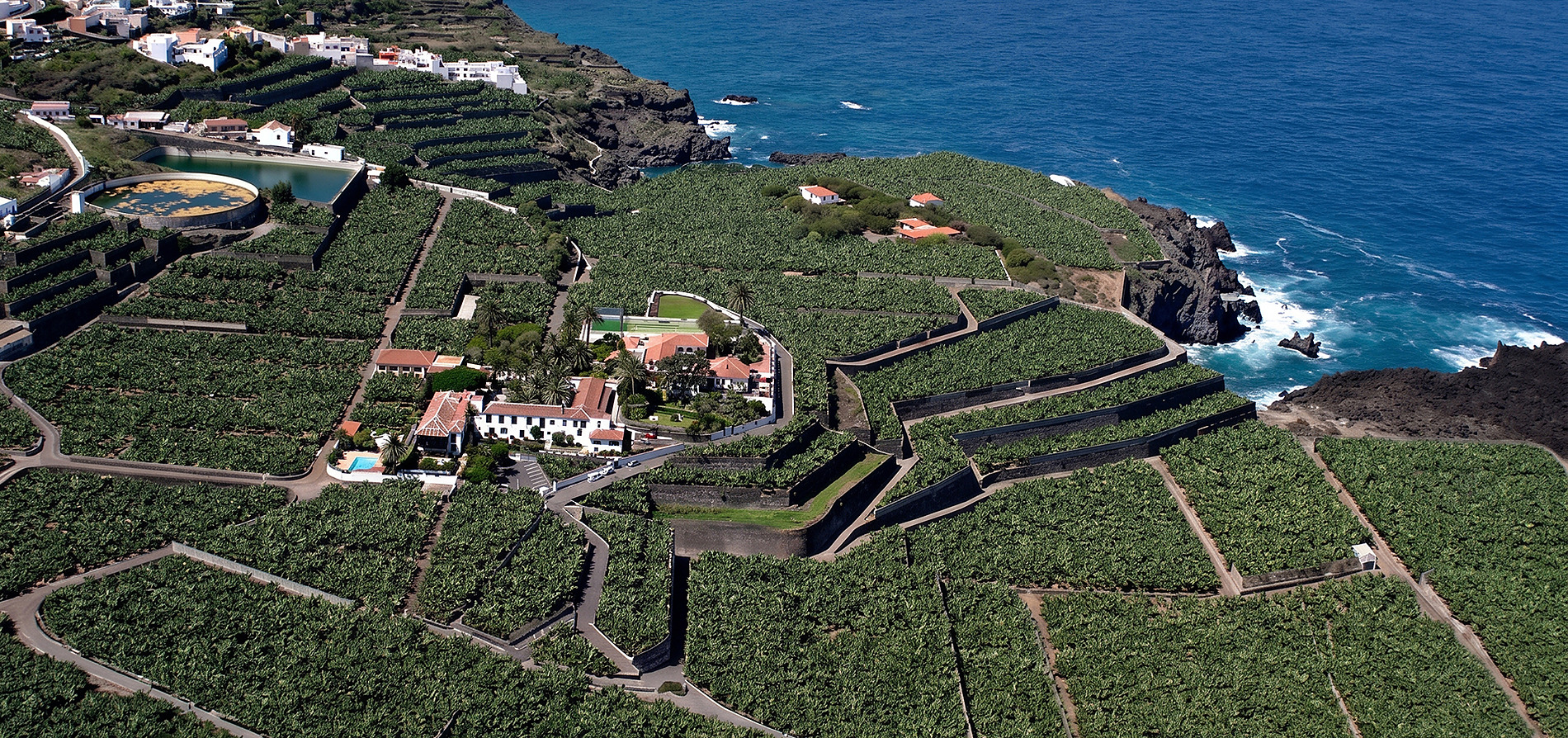 Finca El Patio: plantaciones de plátanos junto al mar, vistas espectaculares.