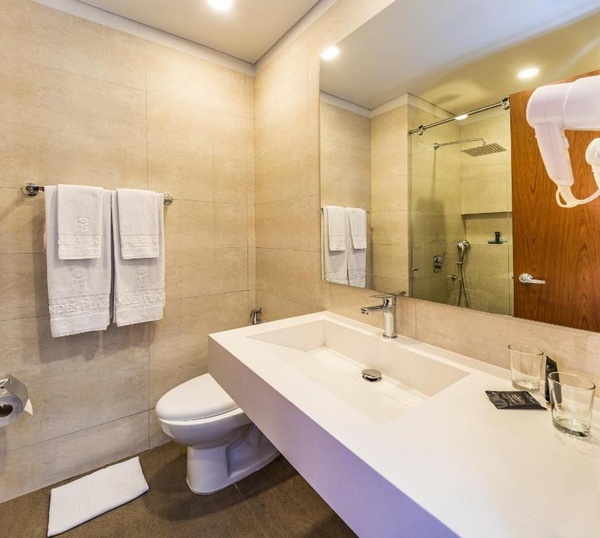a bathroom with a toilet a sink and a mirror