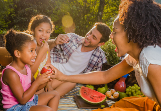 a family having a picnic with watermelon apples and grapes