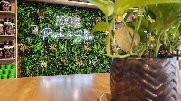 una pared verde con un letrero de neón que dice 100 % pasión y sabor
