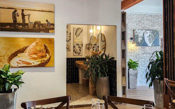 una habitación con plantas y cuadros en la pared
