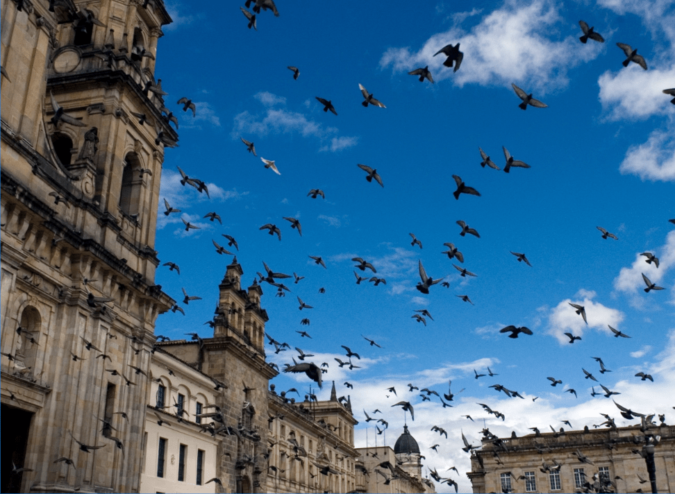 Pássaros voando sobre uma praça perto da EM Hotels 