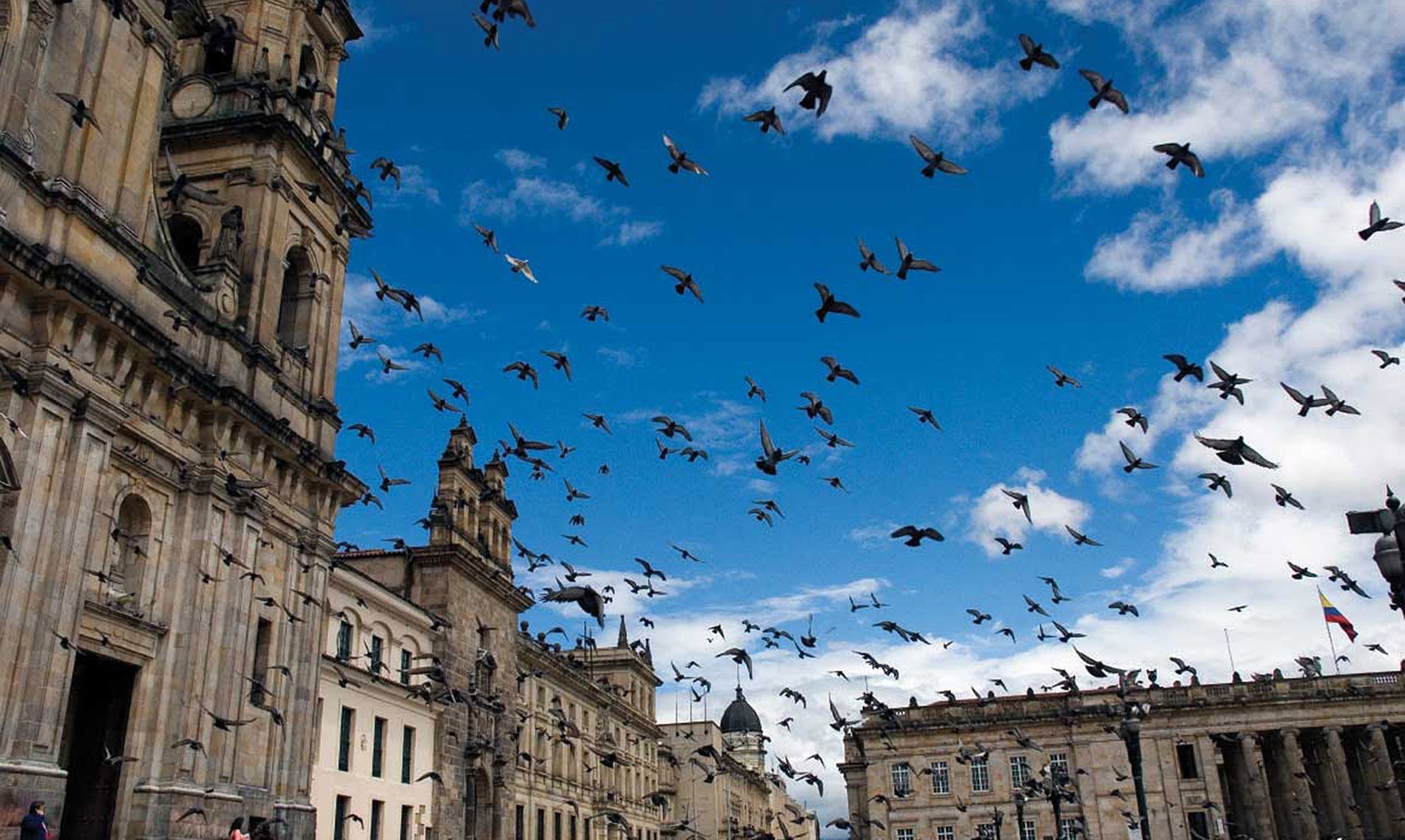 Vista do céu e uma praça com pássaros