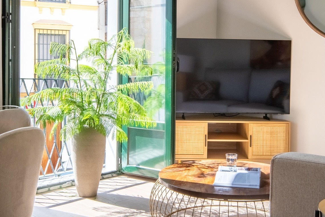 Una luminosa sala de estar presenta una gran planta verde junto a una puerta de balcón, con un televisor sobre un mueble de madera y una mesa de centro de madera con un libro en primer plano.