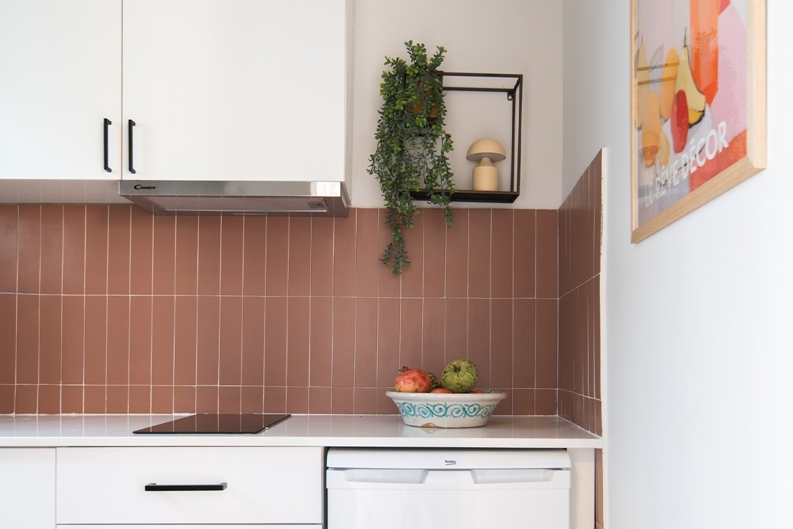 Una cocina moderna y luminosa presenta azulejos marrones rojizos en la pared, una encimera blanca con una placa de inducción, y detalles decorativos como una planta colgante y un cuenco de frutas.