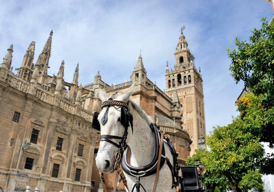 un caballo blanco está parado frente a una catedral